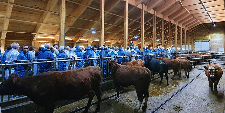 Befaring i det nye fj&oslash;set til Terje Birkeland var en del av seminaret Landbruksbygg i tre den 21. januar.