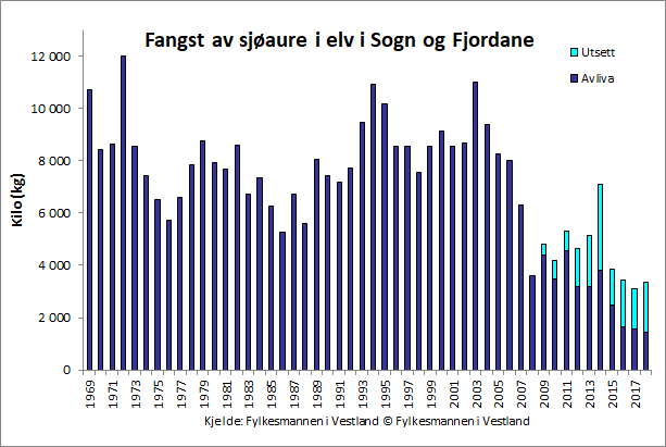 Figur 1. Fangst av sj&oslash;aure i vassdrag i Sogn og Fjordane i totalvekt (kg). Fr&aring; 2009 er gjenutsett fisk inkludert i statistikken.
