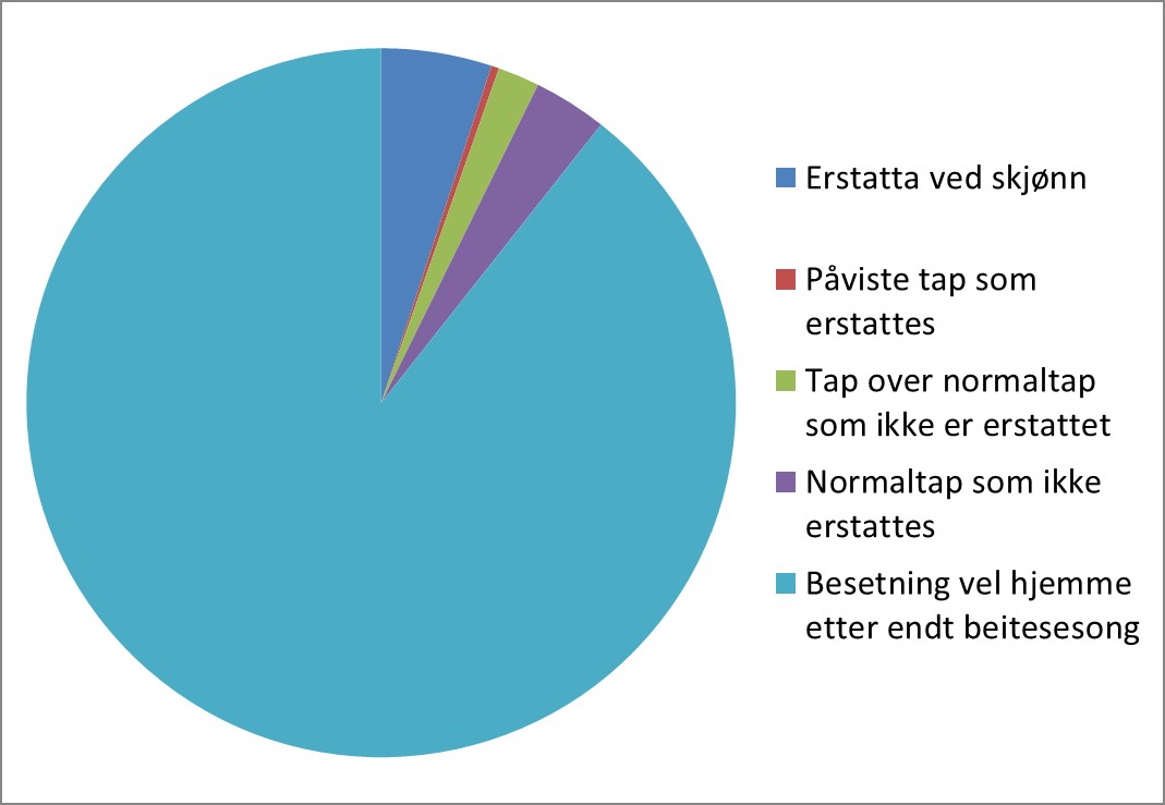 Hva som skjedde med sauene i besetninger som har s&oslash;kt om rovvilterstatning for beitesesongen 2019