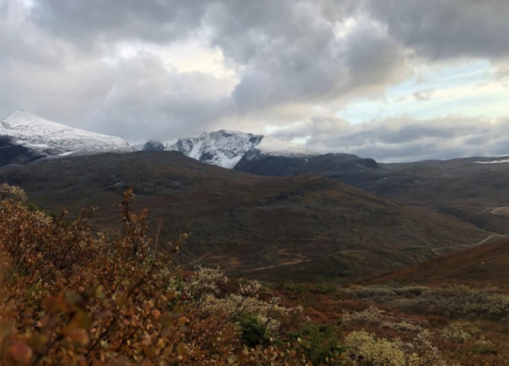 I området mellom Tindevegen og Hurrungen-massivet går det viktige trekkruter for  villreinen i Vest-Jotunheimen. Midt i biletet ser ein nedre og øvre Dyrhaug, og Dyrhaugsryggen dekt i nysnø. Dagens vernegrense går på øvre Dyrhaug, medan utgreiingsområdet og inkluderer området rundt nedre Dyrhaug. 