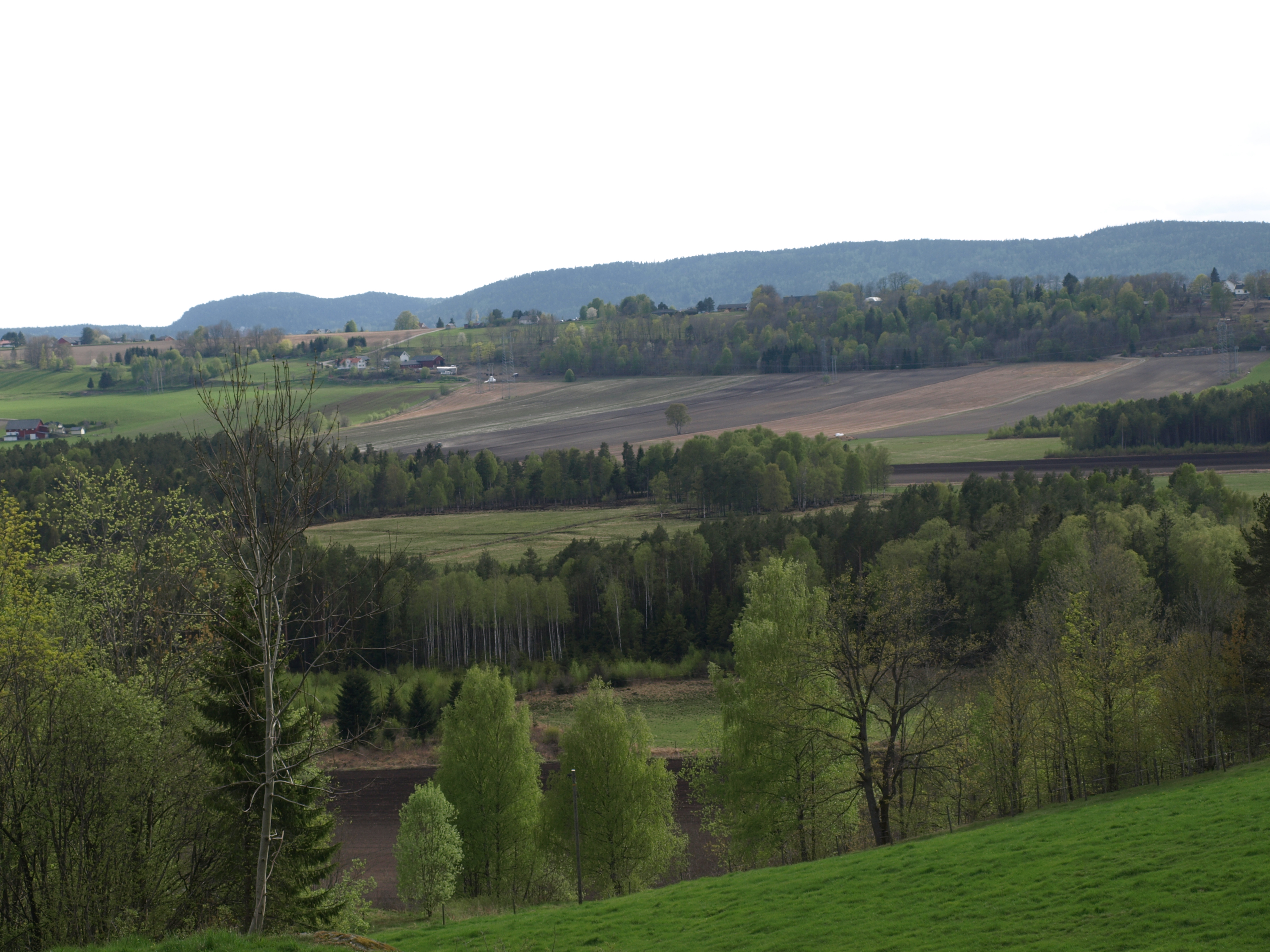Landskapsbilde