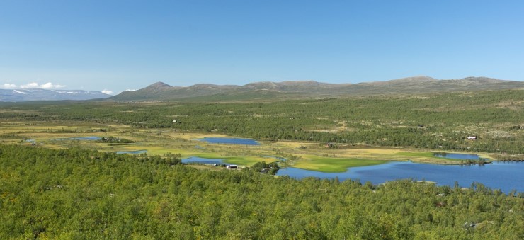 Landskap med vann, myr, fjell og blå himmel