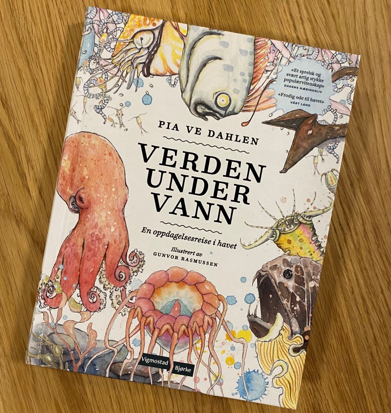 Dette er premien til de heldige vinnerne i vår registreringskonkurranse.