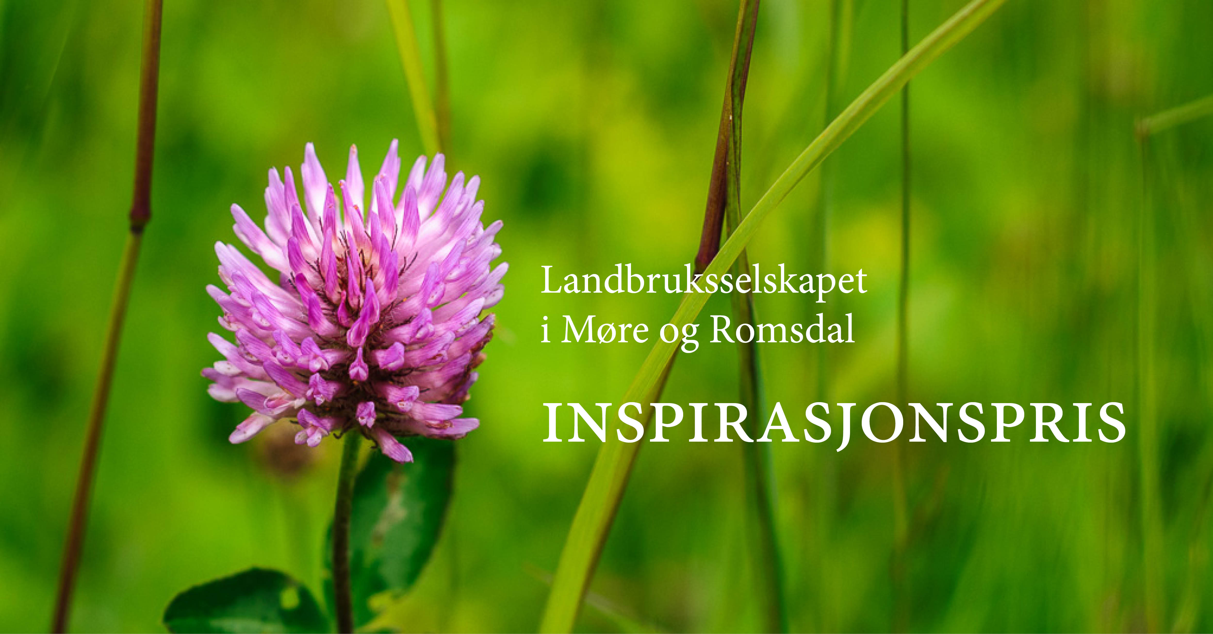 Møre og Romsdal landbruksselskap ønsker kandidatar til ein inspirasjonspris. Forslaga må komme innan 15. januar. 