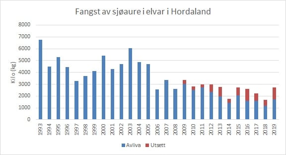 Fangst av sj&oslash;aure i vassdrag i Hordaland
