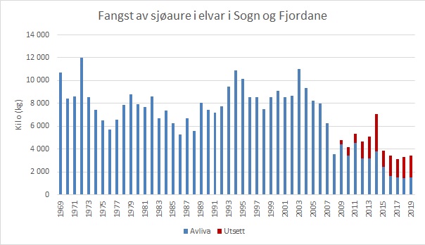 Fangst av sj&oslash;aure  i vassdrag i Sogn og Fjordane