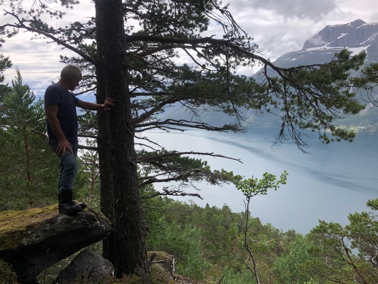 Grunneigar Håkon Hunvik speidar utover felleseiget som no er tilbudt til vern aust for Hunvika. Området har verneverdige kvalitetar mellom anna med mykje død ved, gamal skog og delvis høgare bonitetar.  