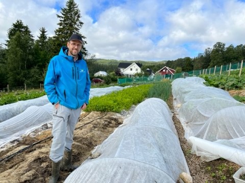 Markedshagen på Bergvoll gård i Malm