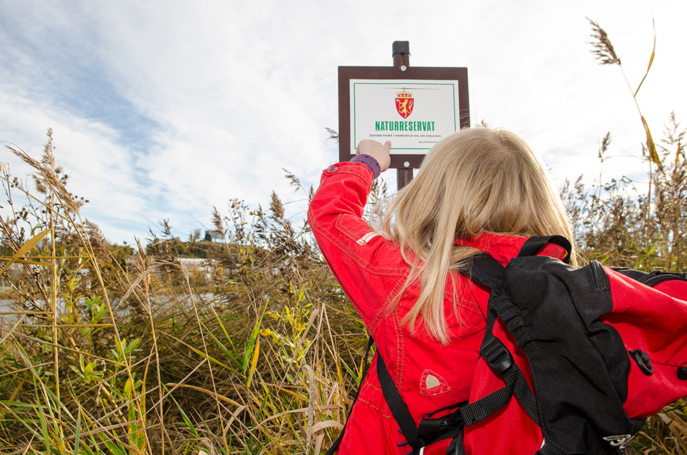 Grevestien langs Ilene naturreservat og våtmarksområde i Tønsberg er et mye brukt turområde. På den måten er også våtmarkene viktig i et folkehelseperspektiv.