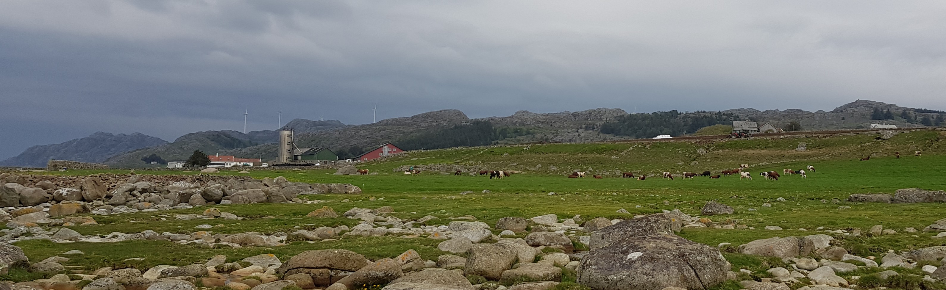 Kjølleberg.
