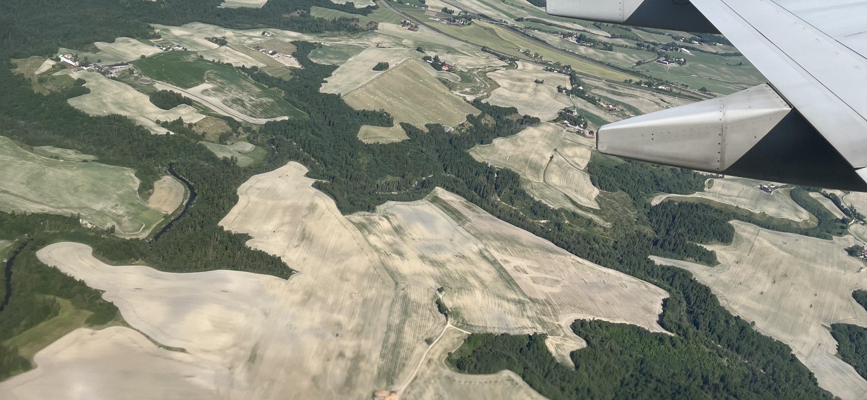 Tørkerammede kornarealer ved Gardermoen i juni 2023