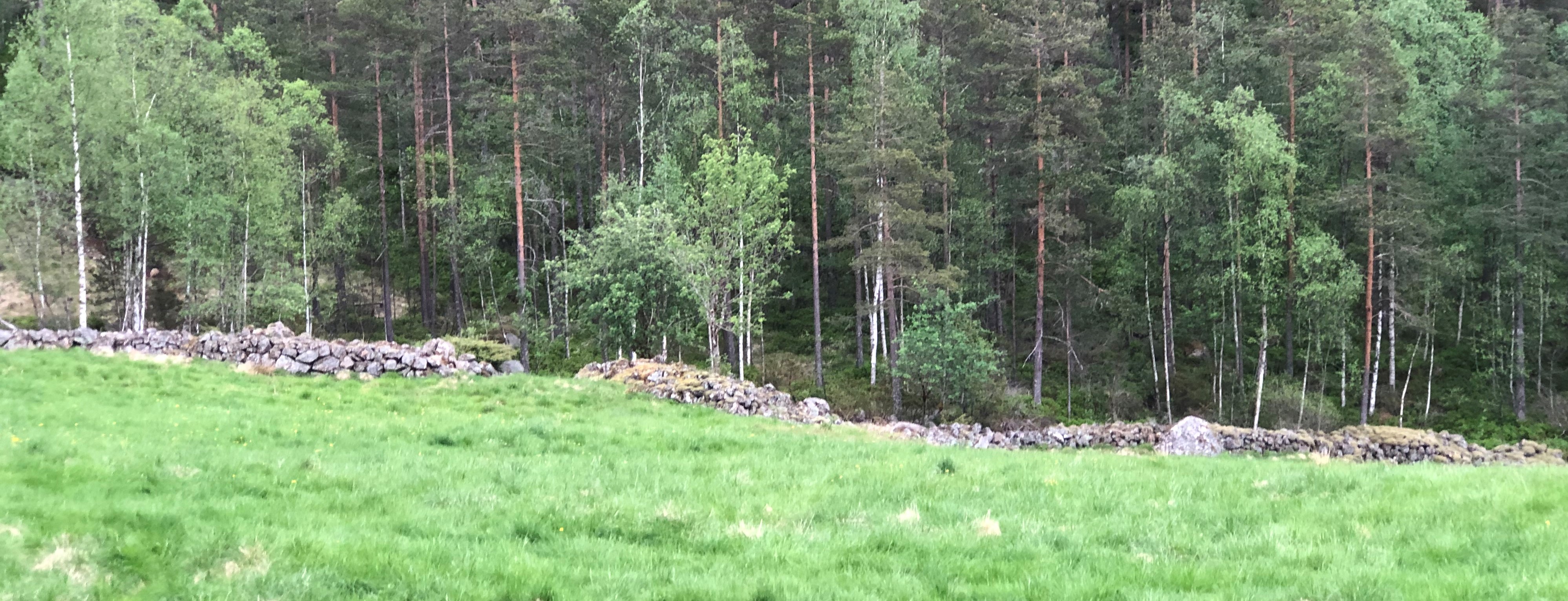 Kombinert steingjerde og rydningsrøys.