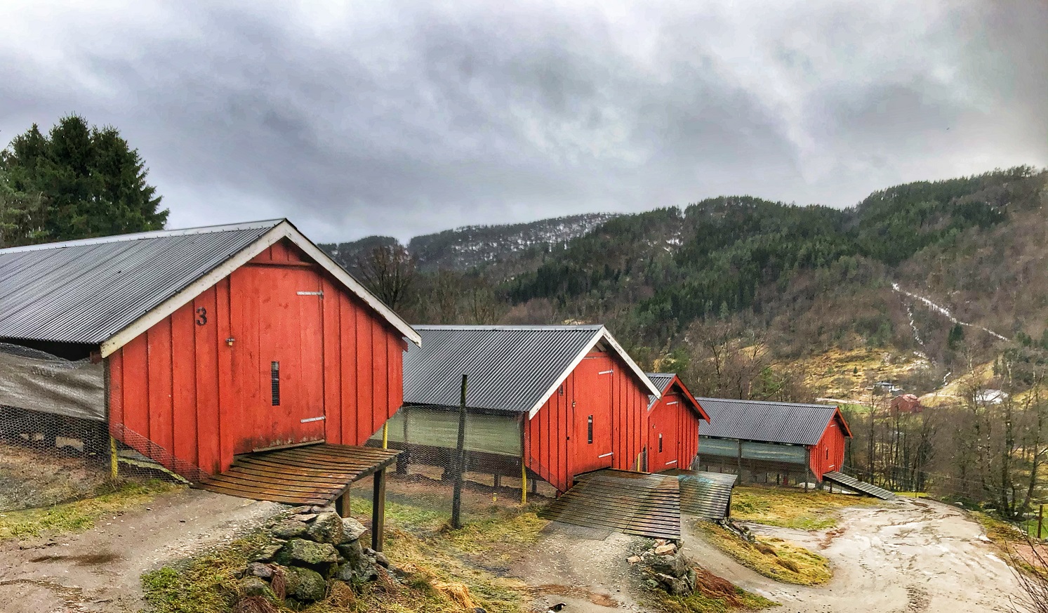 Pelsdyrgård.