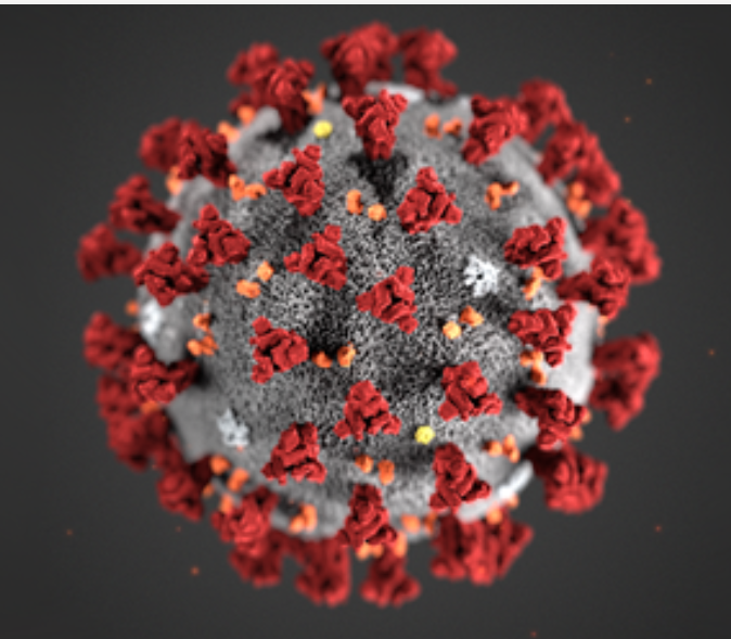 Illustrasjon av koronavirus