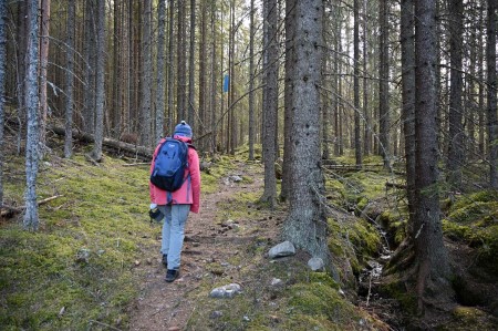 Dame som går tur i skogen