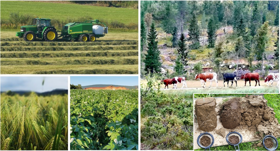 Sammensatt bilde av flere små bilder som viser grashøsting med traktor og rundballepresse, storfe på utmarksbeite, korn, potet og jord.