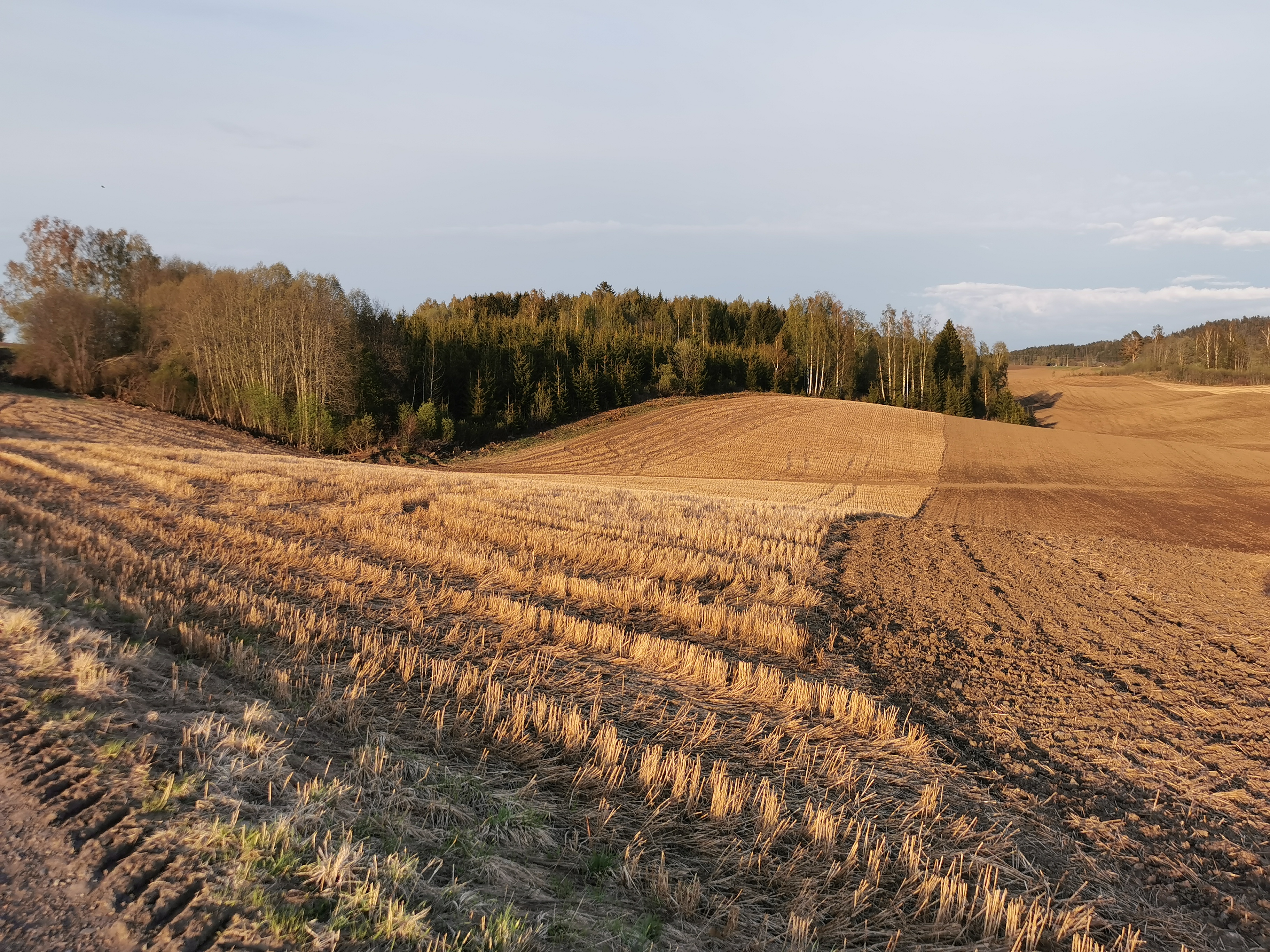 Åker med halmstubb, delvis pløyd opp