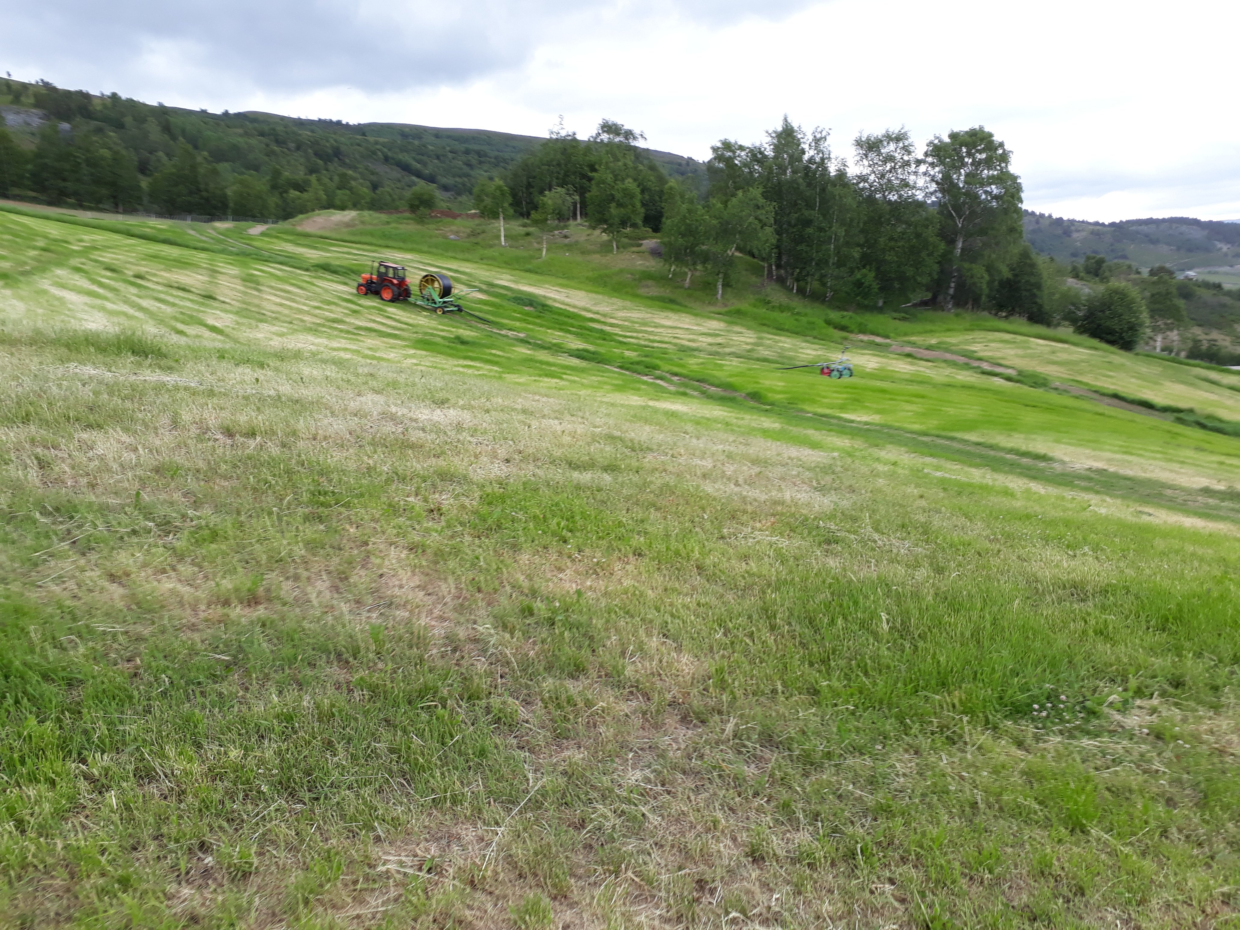 Skrånende jorde med mye tørkeskadd gras, traktor og vanningsvogn