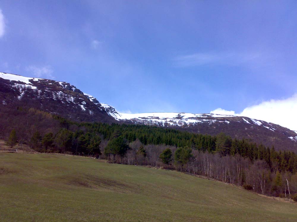 Skog, fjell og blå himmel
