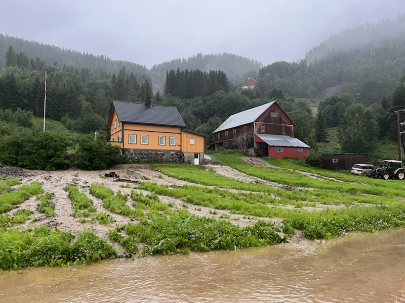 Flom på gård