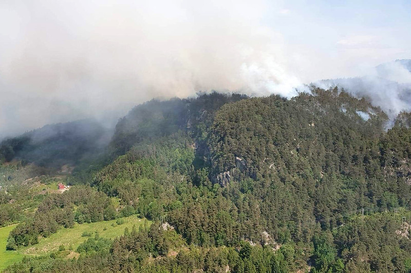 skogbrann
