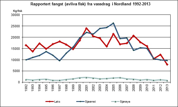 Graf: Fylkesmannen i Nordland Graf over rapportert fangst fra vassdrag i Nordland 1992-2013