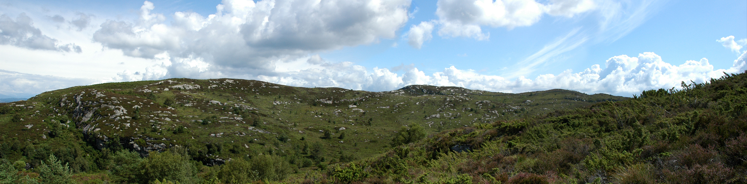 Austbøheia på Rennesøy. Foto: Nono Dimby Austbøheia på Rennesøy