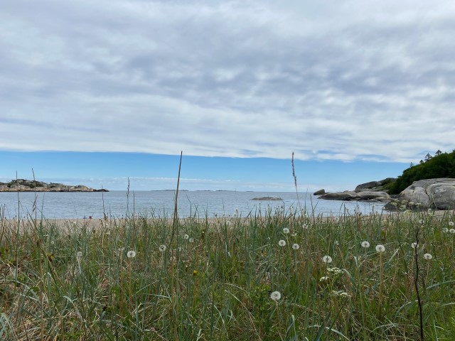 Oslofjorden. Foto: Ailin Gundersen Aarnes
