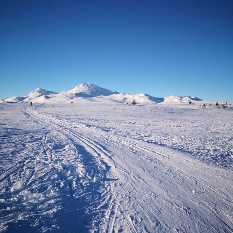 En flott dag på fjellet i Hjartdal. 