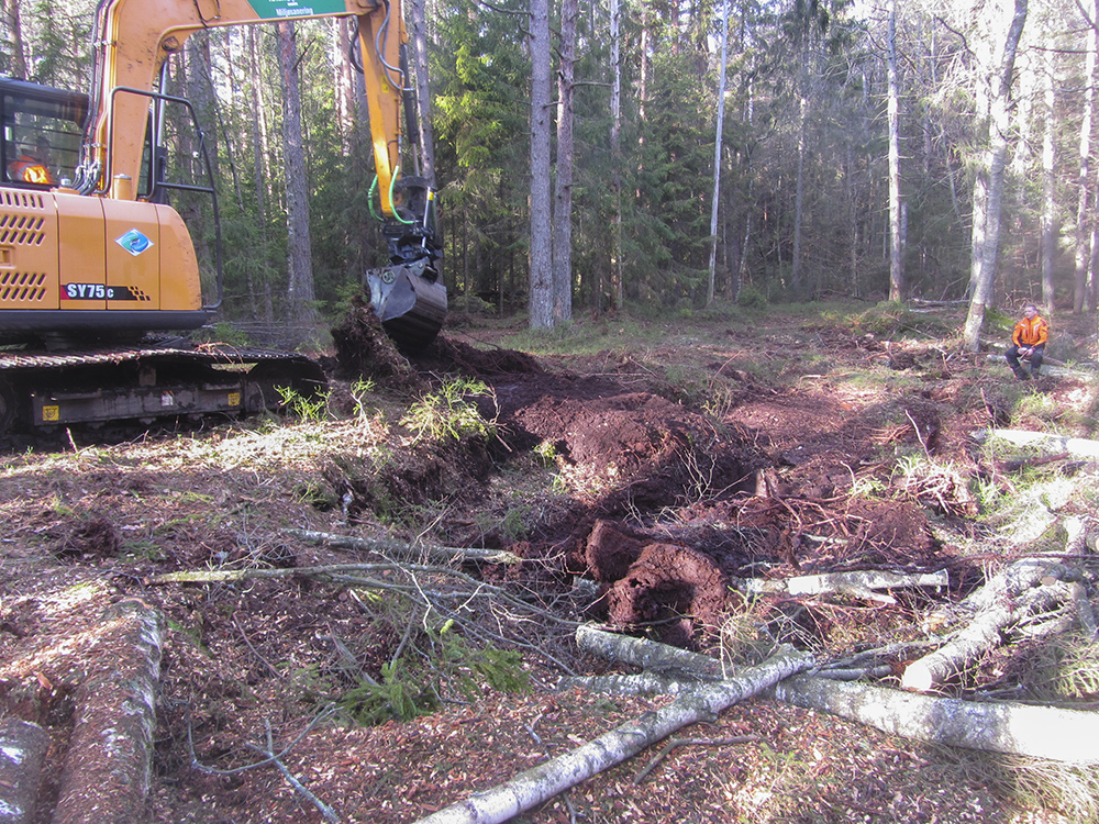 Vi laga ein dam av torv for å halde lengre på vatnet i myrane i Adalstjern naturreservat 