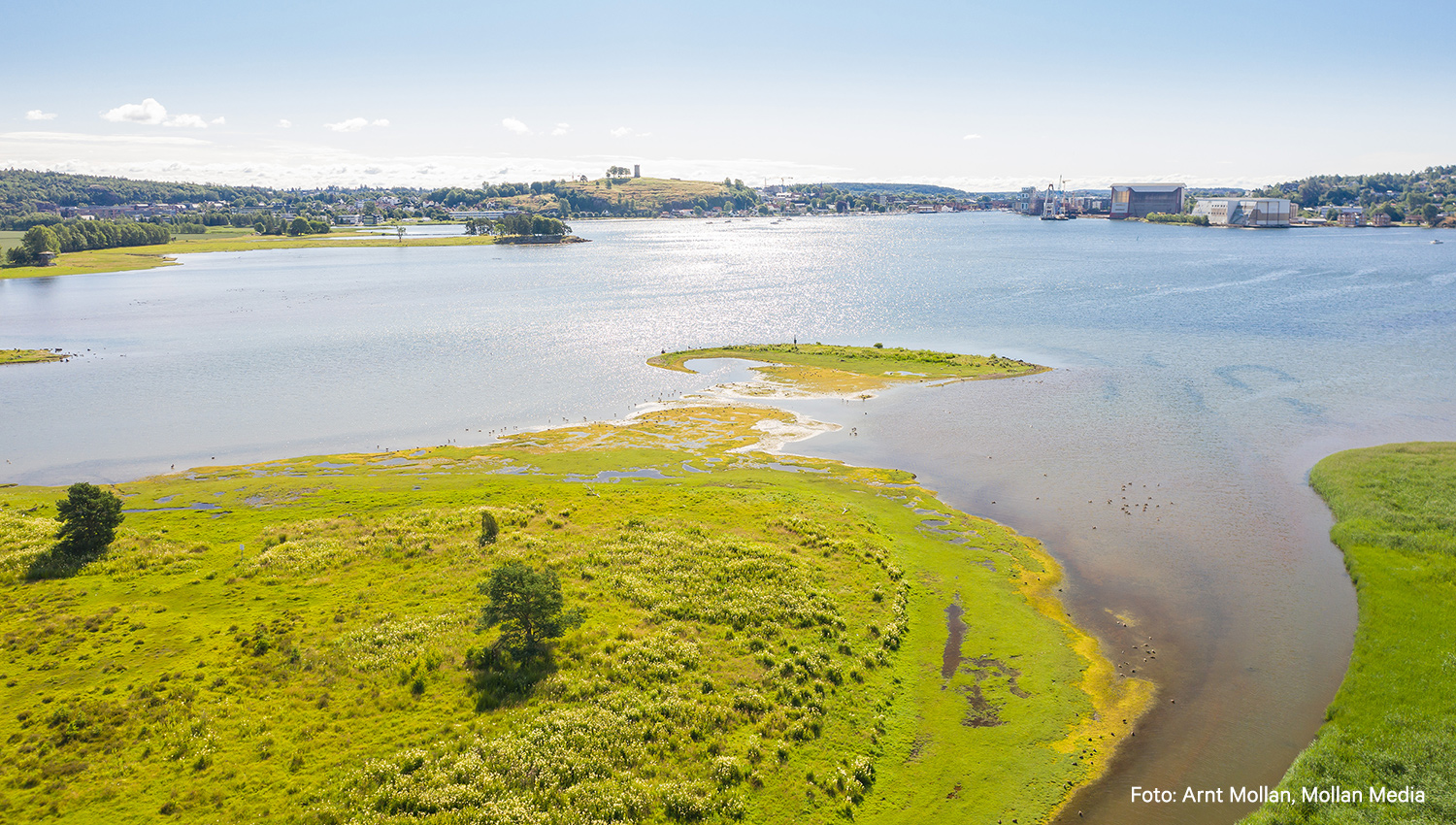 Våtmarka i Ilene naturreservat, tatt med drone (etter løyve frå Statsforvaltaren).