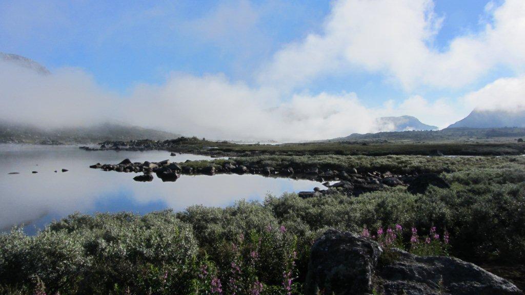 Briskevatn. Foto: Statsforvaltaren i Vestfold og Telemark
