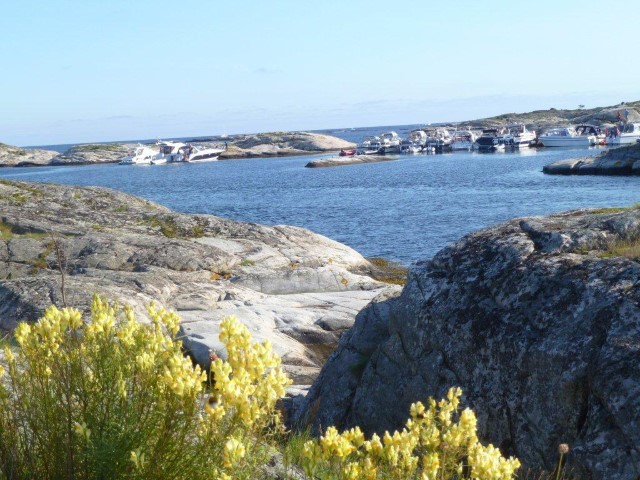 Øya Skratta. Foto: Statsforvaltaren i Vestfold og Telemark