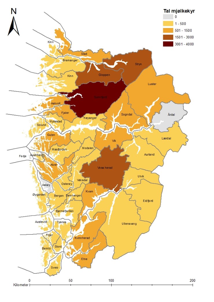 Illustrasjon 1. Tal mj&oslash;lkekyr i Vestland. Kjelde: Fylkesmannen i Vestland.