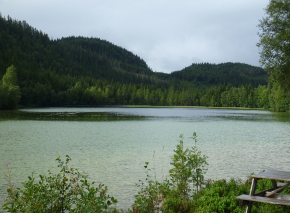 Skjærsjøen. Foto: Anette Grimsrud.